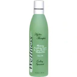 inSPAration Wellness Spageur-Spearmint