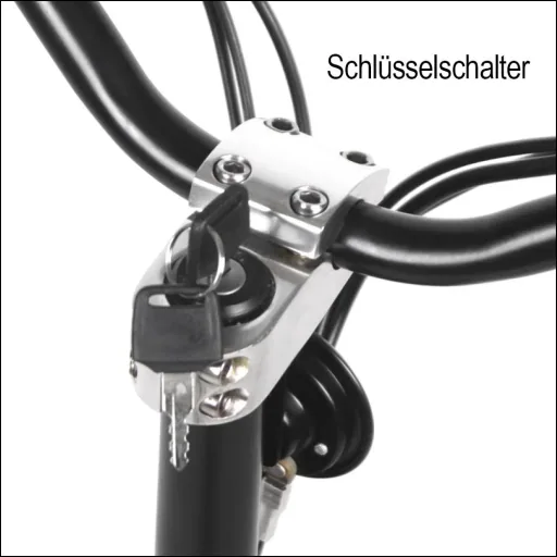 E-Roller "Revoluzzer" Basic 20 km/h schwarz