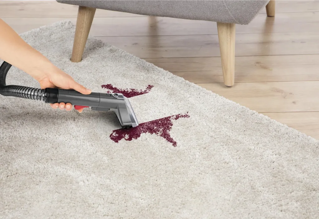 Polster- und Teppichreiniger Cleanmaxx 4982 - Effiziente Fleckentfernung!