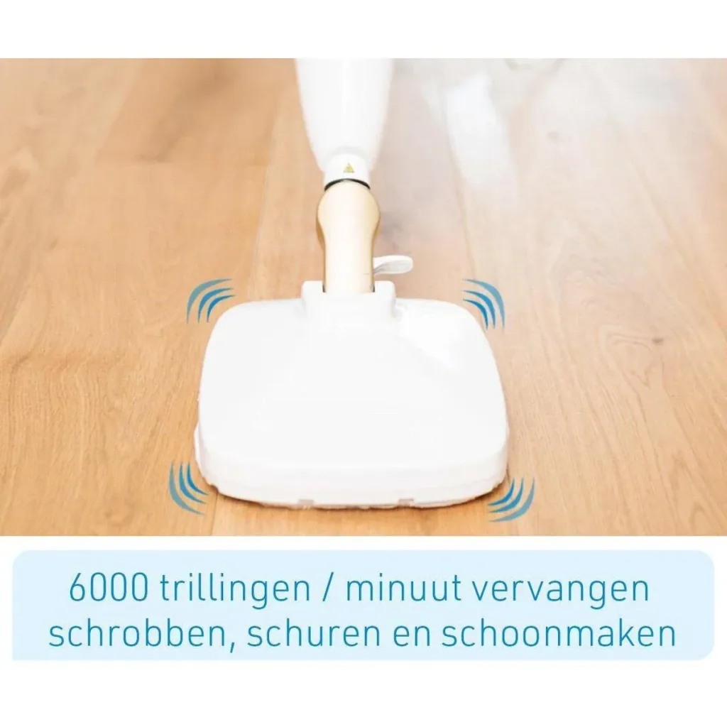 Dampfreiniger