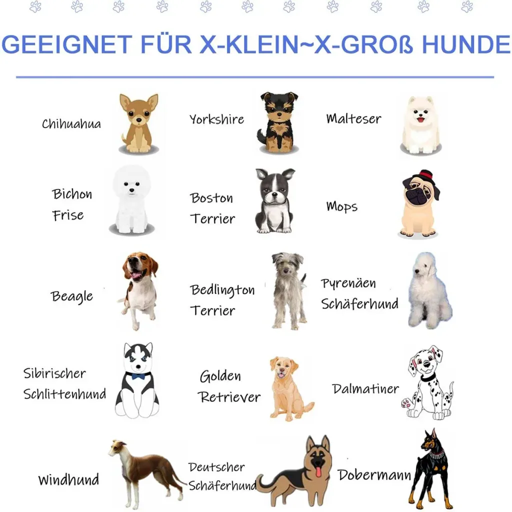 Hundepool mit Wasserablassventil blau