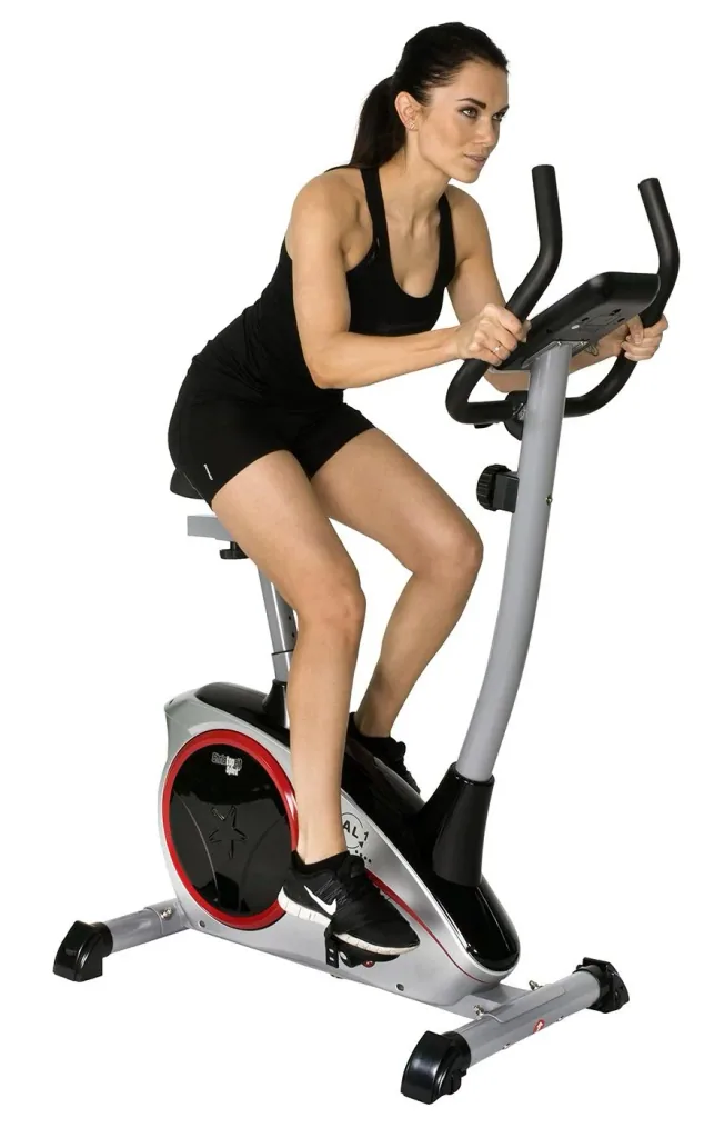 Heimtrainer AL 1 silber
