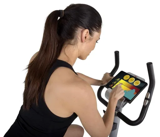 Heimtrainer AL 1 silber