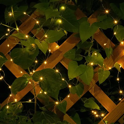 Weihnachtsbeleuchtung - 20 LED - Warmweiß - 95 cm