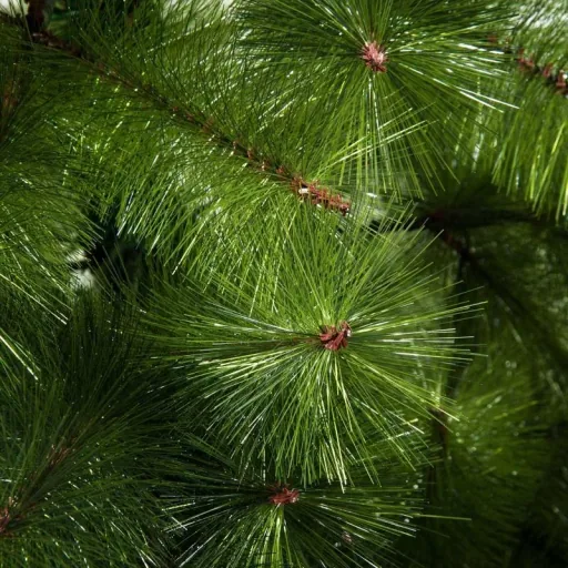 Künstlicher Weihnachtsbaum 2,1 m Christbaum Tannenbaum 505 Äste