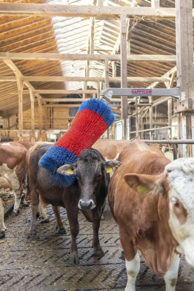 Viehbürste HAPPYCOW Free Maxi