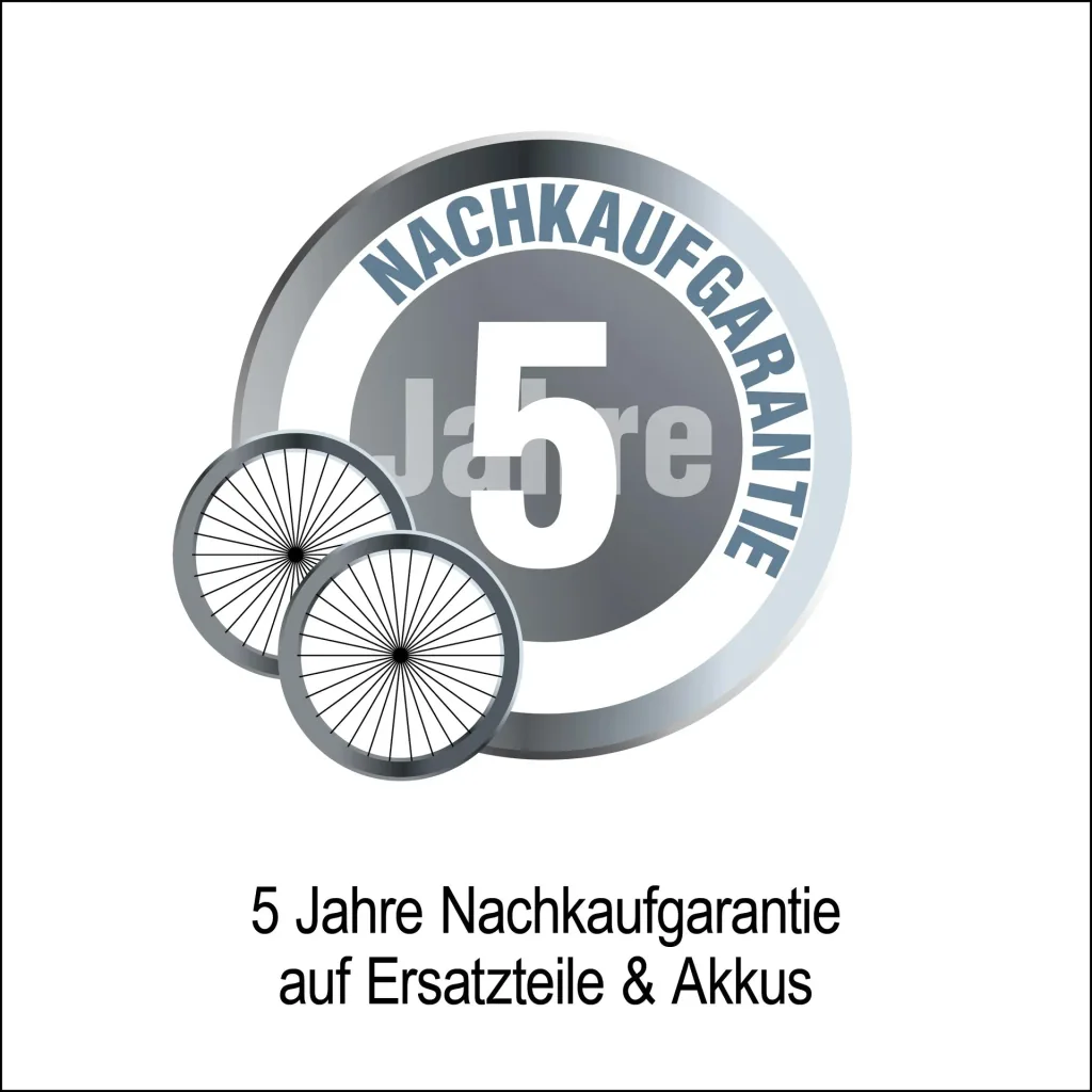 Elektro-Faltroller Speedster 45 km/h, 1000 Watt, inklusive Blinkanlage und Gepäckfach, Schwarz