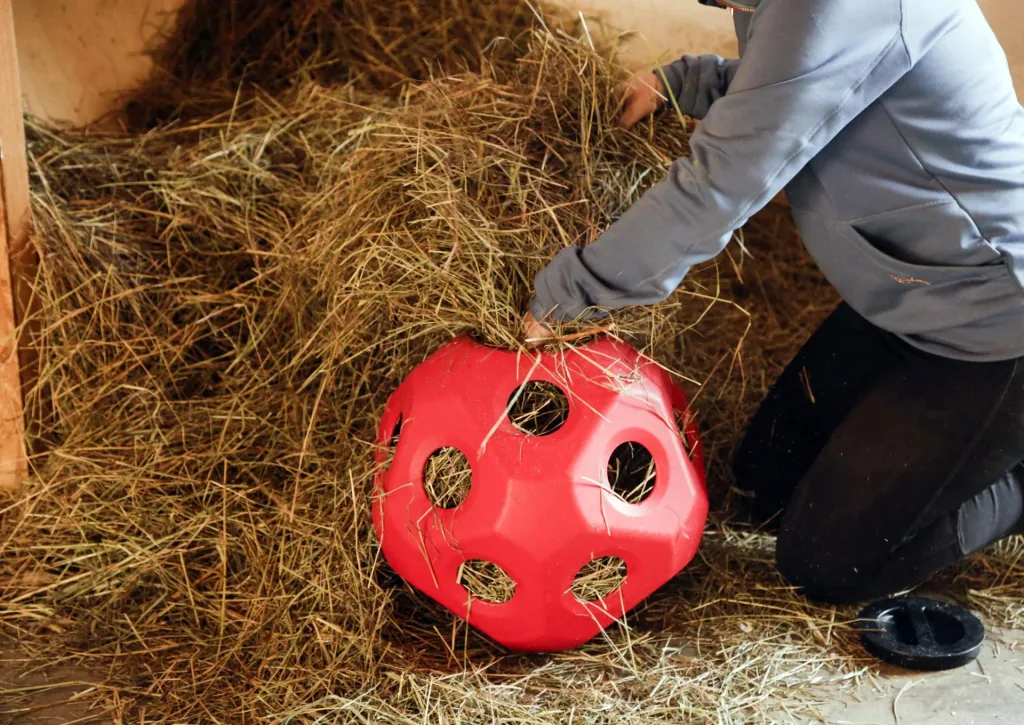 Futterspielball HeuBoy, rot