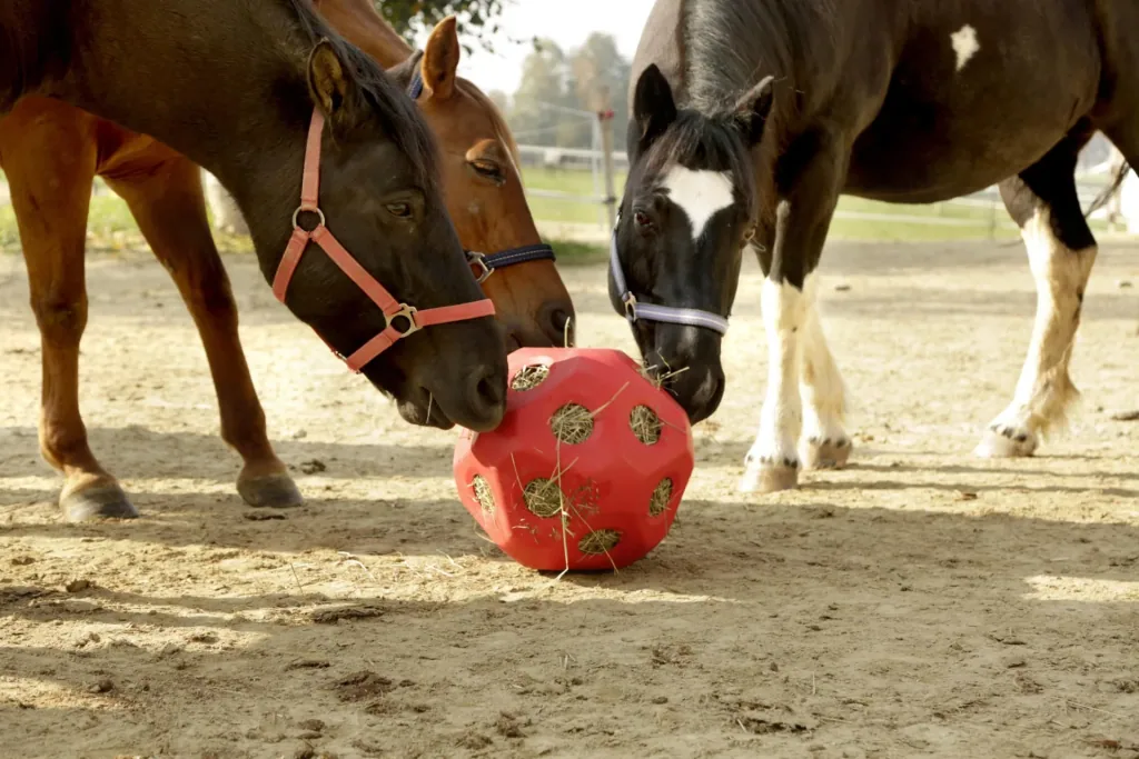 Futterspielball HeuBoy, rot
