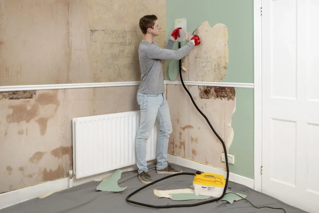 Dampftapetenablöser SteamForce