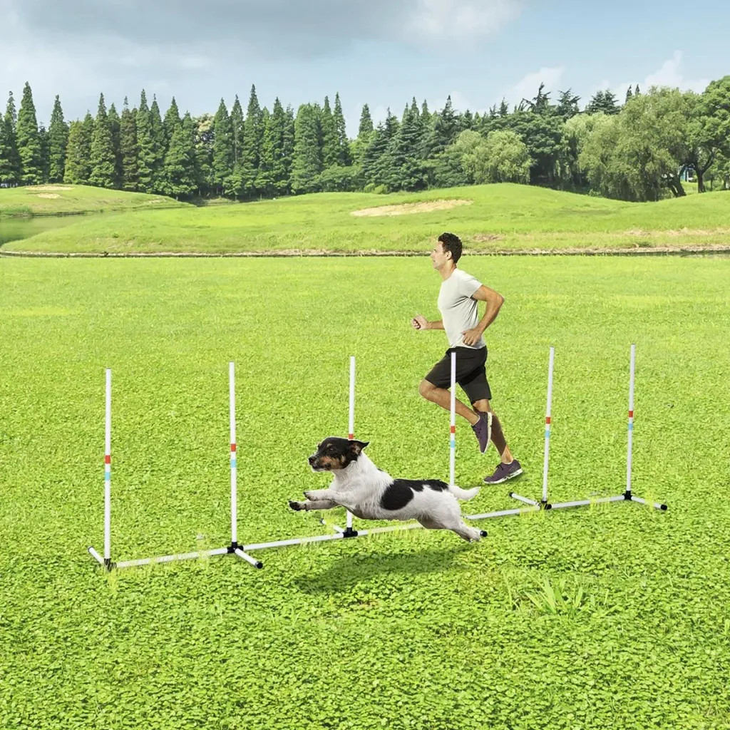 Hunde Slalomstangen Agility Training für Haustiere Hundetrainigsset Inklusive Tasche Leicht zu tragen Polyester Kunststo
