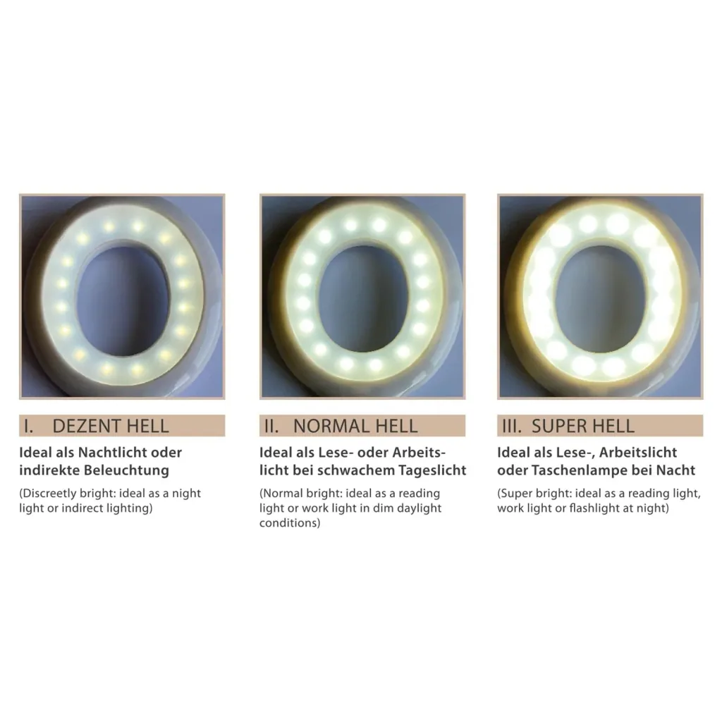 LED Schreibtischlampe Clever Touch