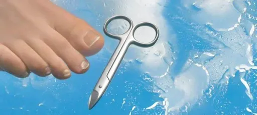 Fußnagelschere, 10,5 cm, extra stark, rostfrei
