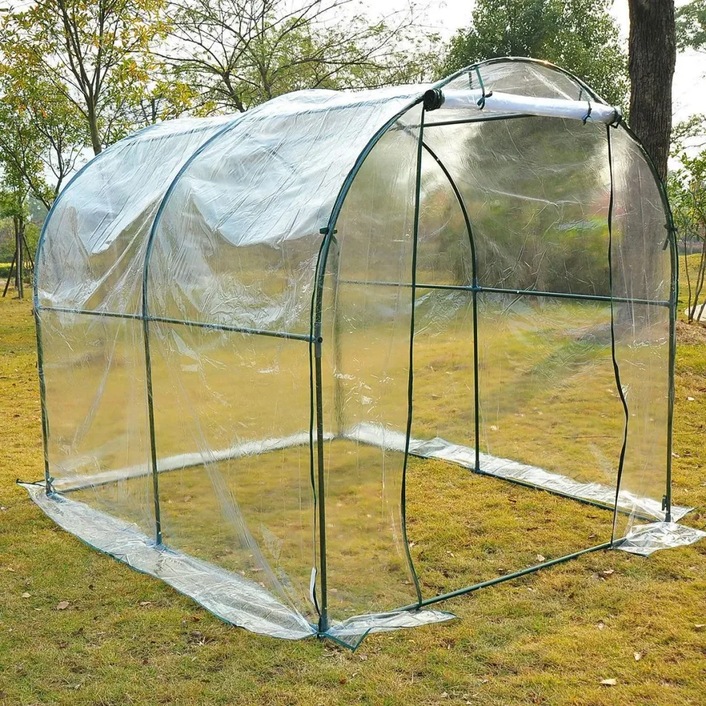 Foliengewächshaus transparent