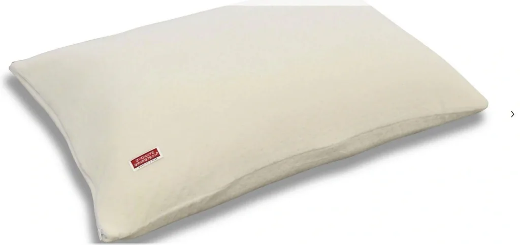 Sleep Nasa Kissen