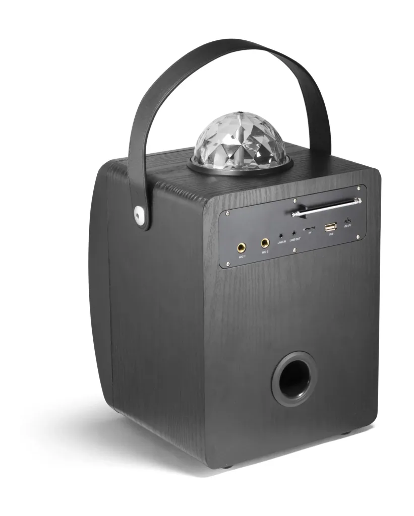 Disco Lautsprecher mit Mikrofon