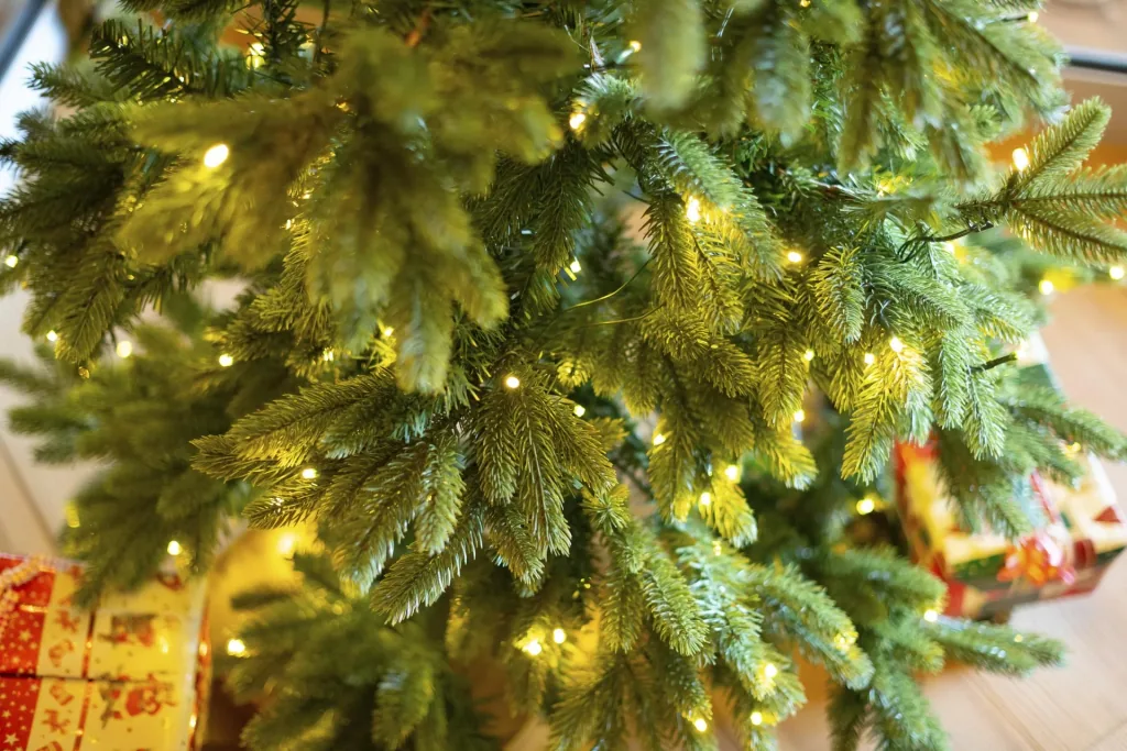 Weihnachtsbaum Roswell Kiefer 150 cm