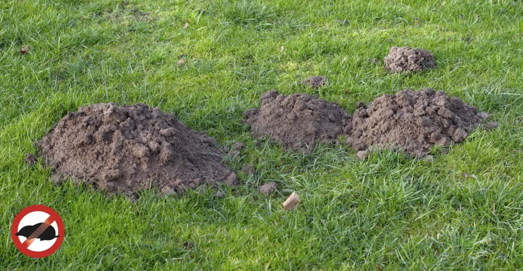Solar Maulwurf / Hunde / Katzenfrei