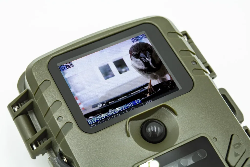 Full HD Kamera für Vögel- und Kleintierbeobachtung mit PIR Sensor, Mikrofon und Lautsprecher