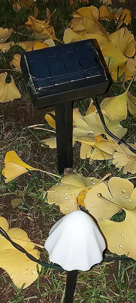 Solar-Lichterkette "Pilz", mit 20 warmweißen LEDs
