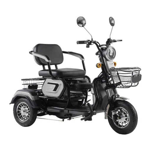 3-Rad E-Mobil Bari 6 km/h: 48V/20Ah Blei-Gel, silber