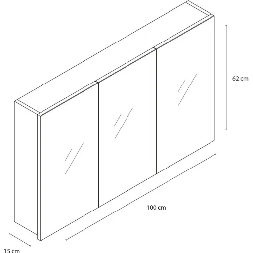 Concept Spiegelschrank 100cm gris fsc