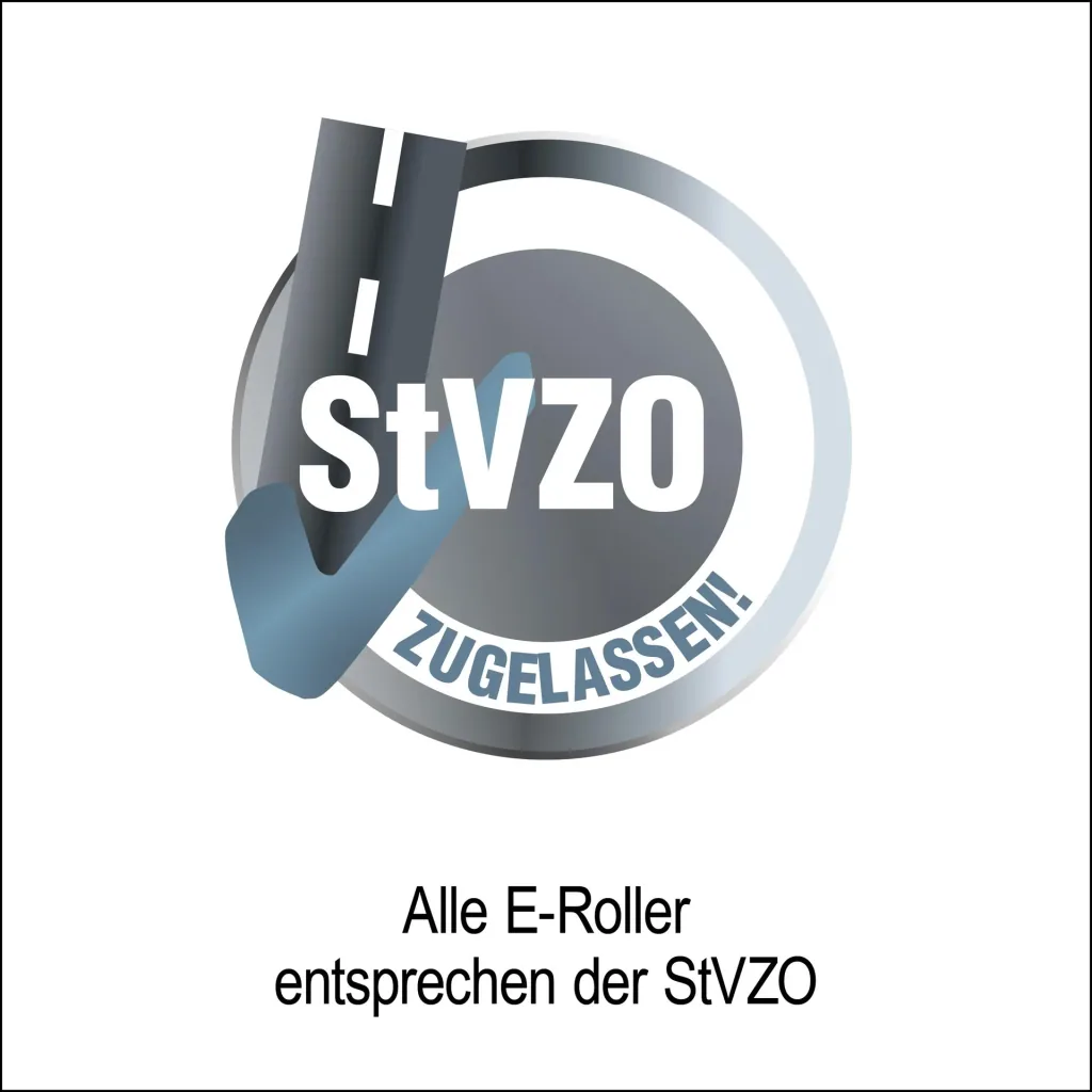 E-Faltroller Speedster 45 km/h Basic 48V/15Ah Blei-Gel, Schwarz