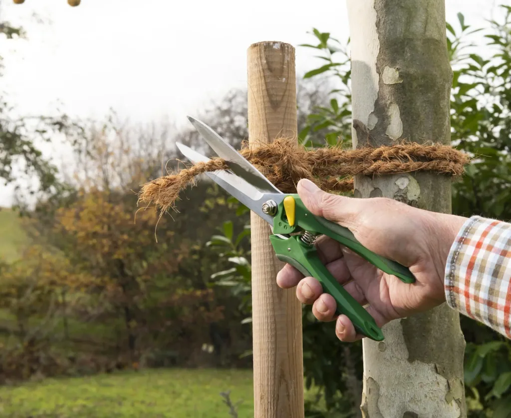 Einhand-Gartenschere, Multi