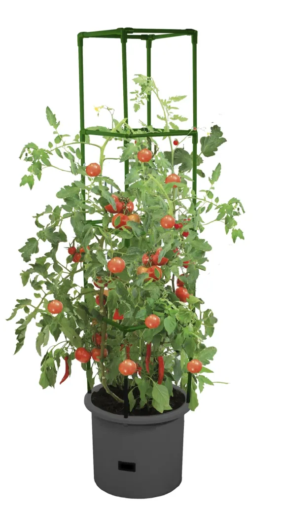 Growchampion Pflanzenchampion "Anthrazit"