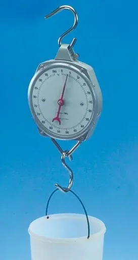 Zeigerschnellwaage bis 50 kg, Strichunterteilung 1 kg, 200 g
