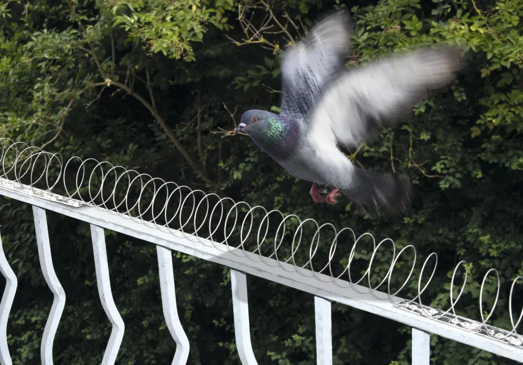 Vogelschutz Spirale 5m