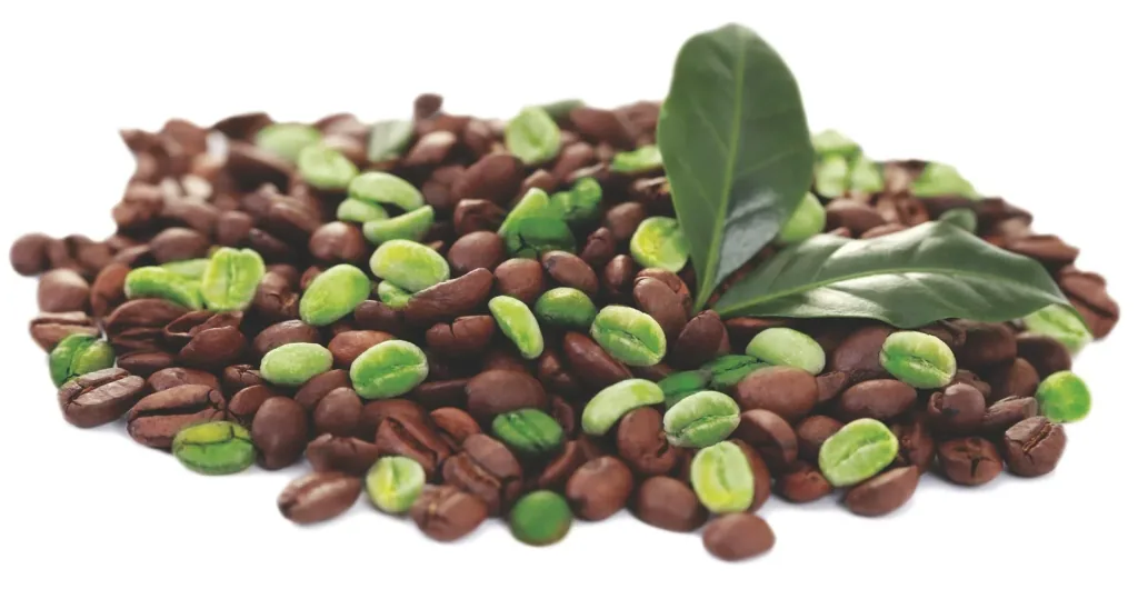 RXB Green Coffee Kapseln, 60 Stück