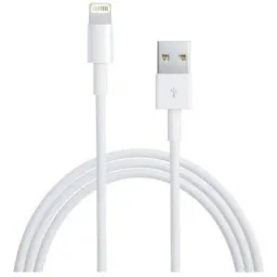Apple Lightning auf USB Kabel (1 m)