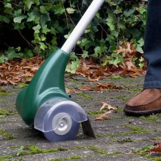 Unkrautbürste 400 Watt mit 2 Kunststoff- & 2 Metallbürsten
