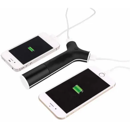 12/24v Ladegerät & Powerbank (2200mAh)