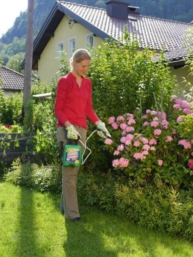 Roundup Speed Fertigmischung 2,5 Liter - sichtbarer Erfolg nach 24 Stunden