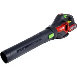Laubbläser - Starter-Set 40 Volt Li-Ion