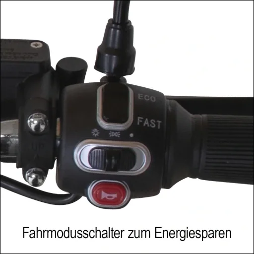 Kompakt E-Roller "Roma" 45 km/h schwarz