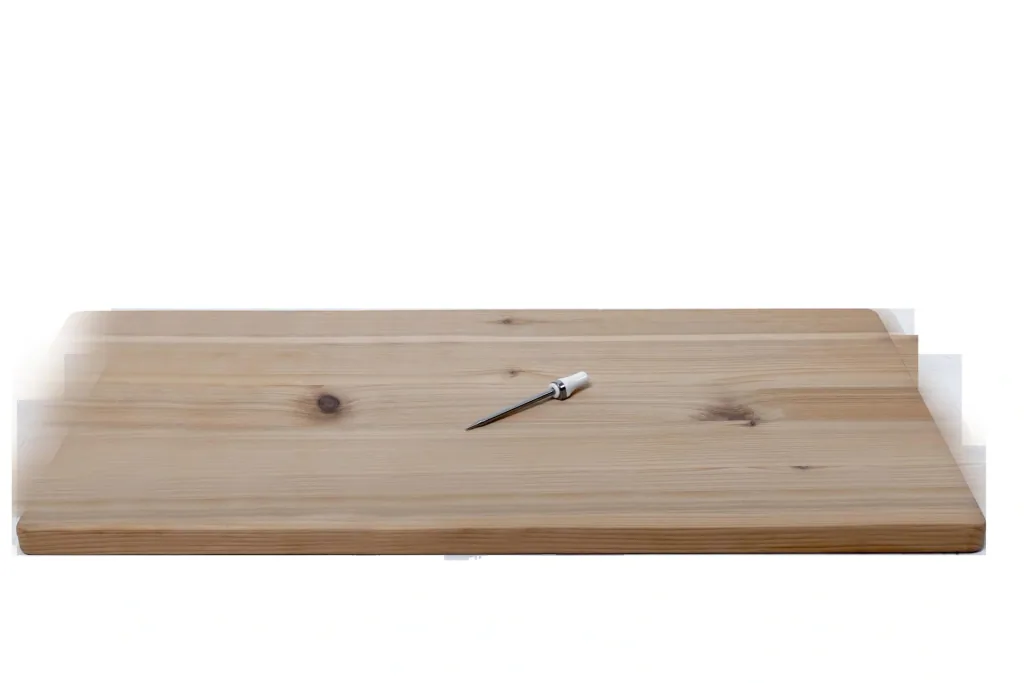 Kerntemperaturmesser A-Point