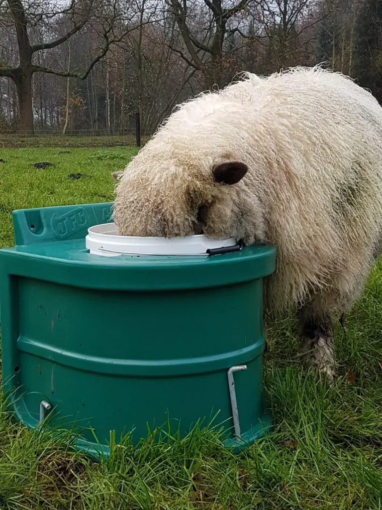 JFC Frostschutzeimer 20 Liter - isolierte Tränke ohne Strom