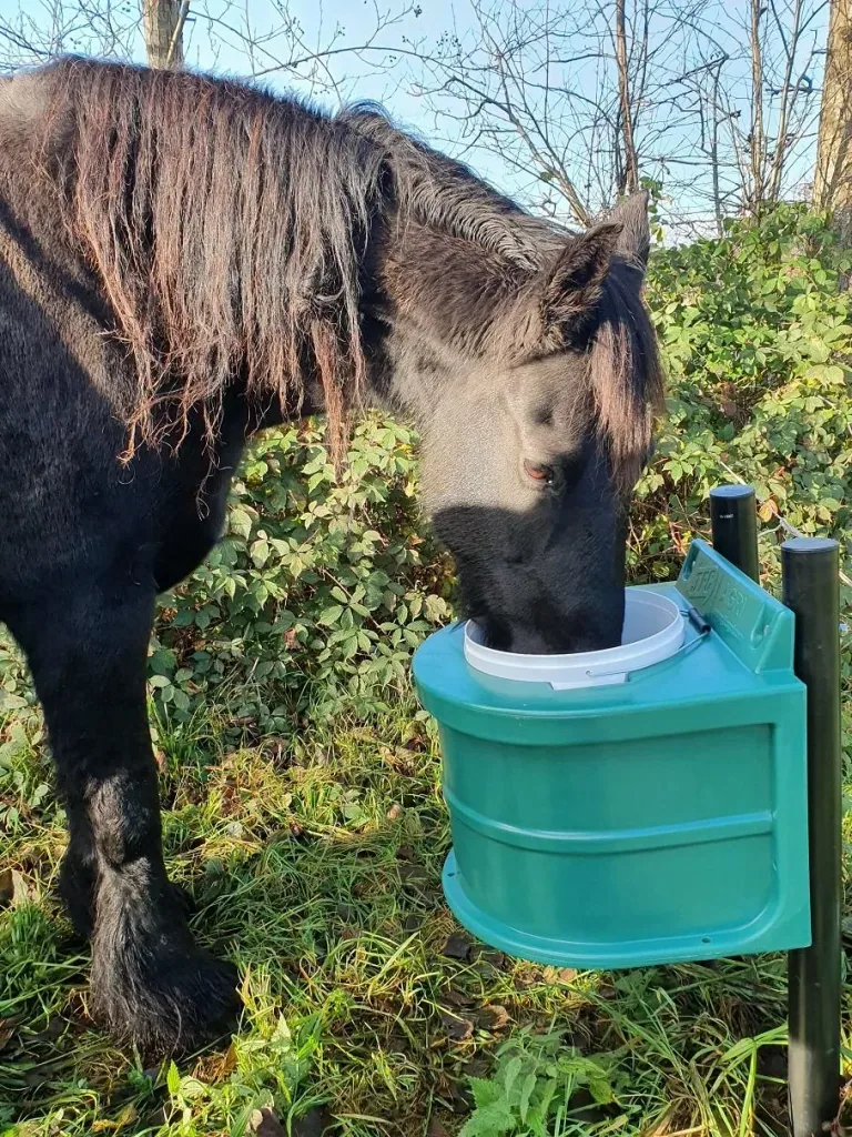 JFC Frostschutzeimer 20 Liter - isolierte Tränke ohne Strom