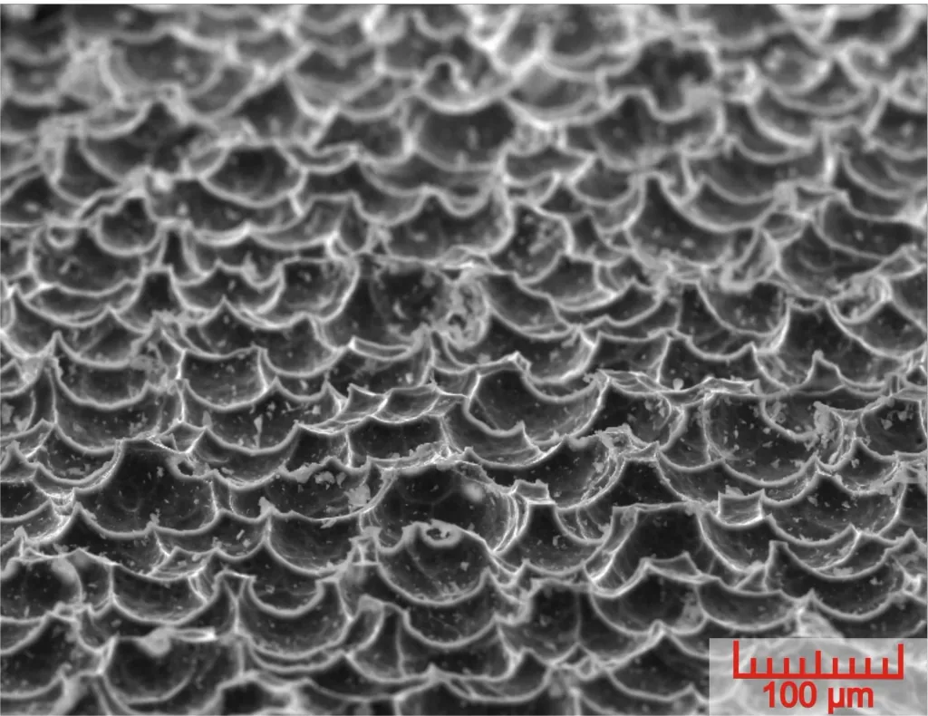 Glas-Nagelfeile "Ergofile", mit U-förmiger Schleifrille