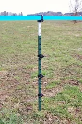Metallpfahl T-Post, 167 cm, 200 Stück