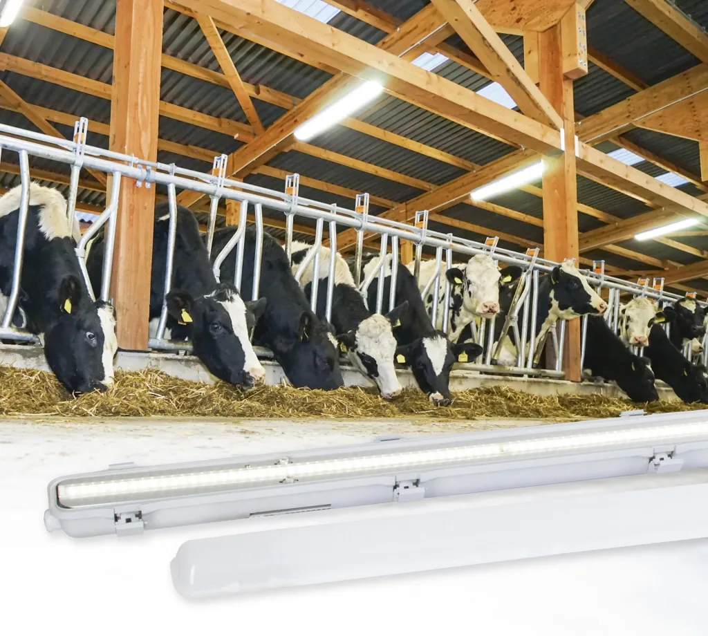 LED Feuchtraumleuchte "FarmSTAR", IP 65, 121 cm