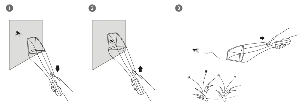 Insekten-Lebendfänger mit Lupe
