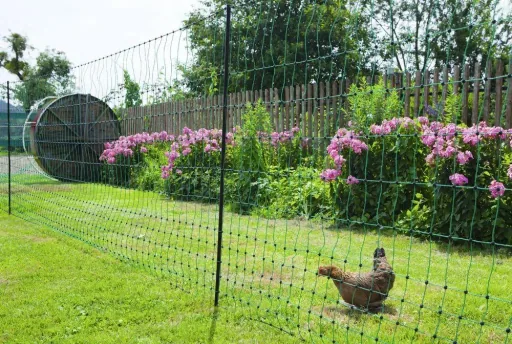 Geflügelnetz 106 cm mit Doppelspitze, 25 m, nicht elektrifizierbar
