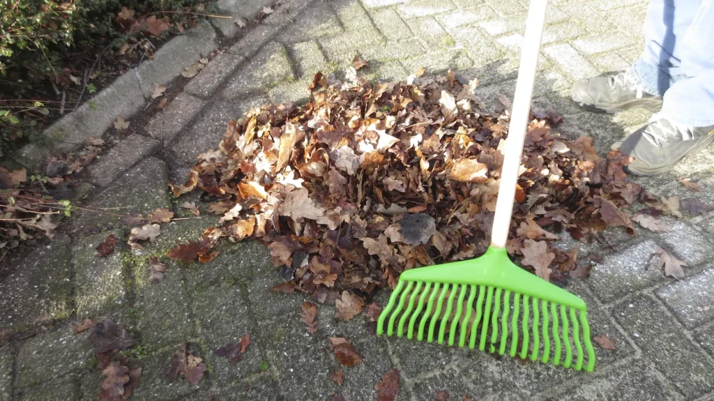 Gartenharke