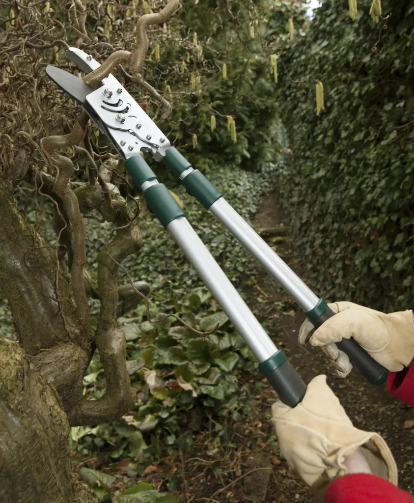 Amboss Astratschenschere mit Teleskopgriff, 50 mm Schnittstärke