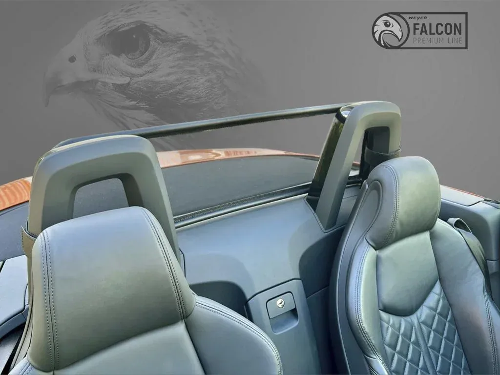 Windschott Audi TT 1-Teilig ab 2015