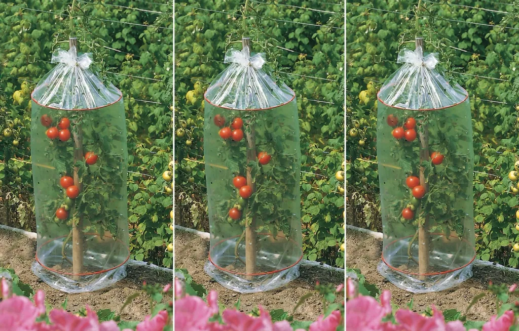 Tomaten Schutzhauben 3 x 3er Set